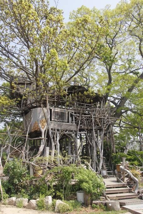 Mizuno San'S Tree House Vila Gimje Exterior foto