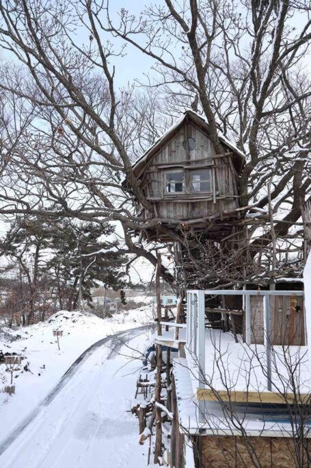 Mizuno San'S Tree House Vila Gimje Exterior foto