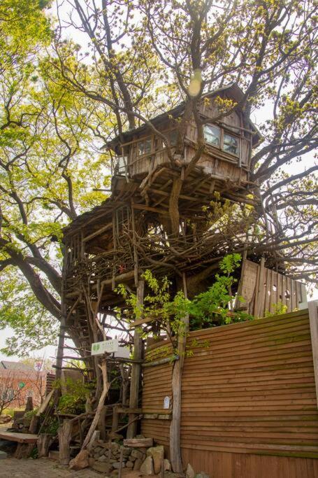 Mizuno San'S Tree House Vila Gimje Exterior foto