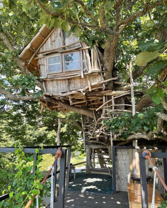 Mizuno San'S Tree House Vila Gimje Exterior foto